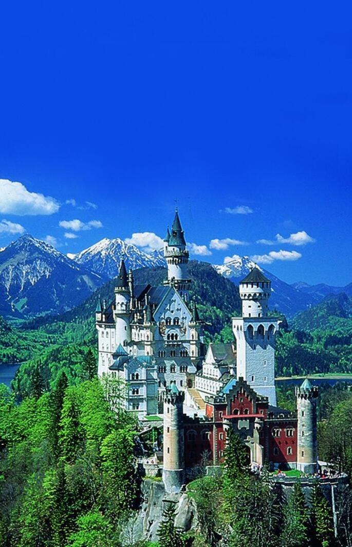 فندق Haflingerhof Roßhaupten المظهر الخارجي الصورة